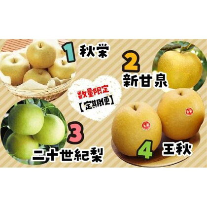 数量限定【定期便】鳥取県産 梨の食べ比べ 4種類コース | フルーツ 果物 くだもの 食品 人気 おすすめ 送料無料