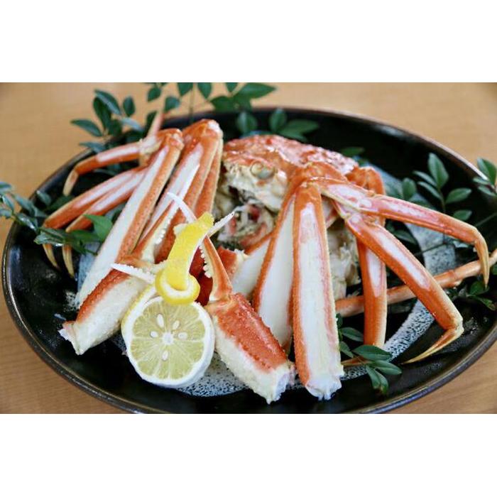 鳥取県琴浦町の画像3