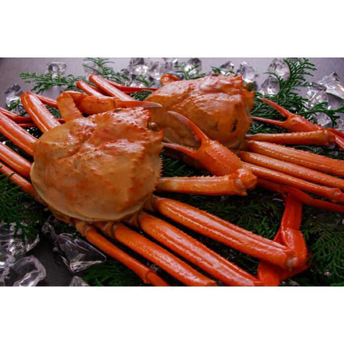 【ふるさと納税】紅ずわいがに（ボイル）2枚（1.0kg以上） | 蟹 魚介類 水産 食品 人気 おすすめ 送料無料のサムネイル
