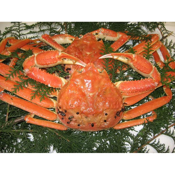 【訳アリ】松葉ガニ（ボイル）2枚（計1.6kg以上）【年明け配送】《ずわいがに　かに　カニ　蟹》 | 蟹 魚介類 水産 食品 人気 おすすめ 送料無料