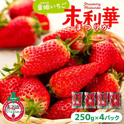 【先行予約】章姫(あきひめ)いちご 4P(250g×4) 「末利華(まつりか)」 | フルーツ 果物 くだもの 食品 人気 おすすめ 送料無料