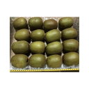 【ふるさと納税】【先行予約】キウイフルーツ(レインボーレッド2kg)と追熟剤セット | フルーツ 果物 くだもの 食品 人気 おすすめ 送料無料