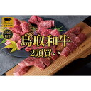 【ふるさと納税】【定期便】鳥取和牛2頭買い 12か月定期便 TB1 | 肉 お肉 にく 食品 鳥取県産 人気 おすすめ 送料無料 ギフト