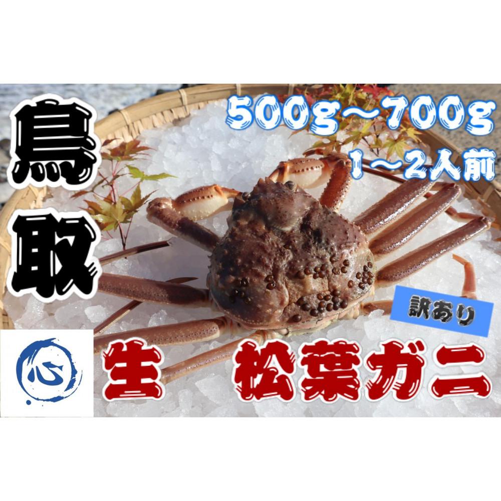 【ふるさと納税】【先行予約】鳥取県産 生 松葉ガニ(500g〜700g)(1〜2人前)訳アリ | 魚介類 水産 食品 人気 おすすめ 送料無料