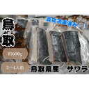 【ふるさと納税】【先行予約】鳥取県産 サワラ600g(300g×2パック) 国産 サワラ 鰆 生食用 真空冷凍 | 魚介類 水産 食品 人気 おすすめ 送料無料