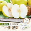 【ふるさと納税】【先行予約】数量限定 鳥取県産梨 二十世紀梨 5kg(12〜14玉) | フルーツ 果物 くだもの 食品 人気 おすすめ 送料無料