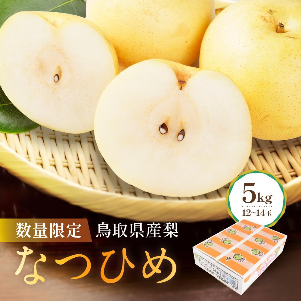 【ふるさと納税】【先行予約】数量限定 鳥取県産梨 なつひめ 5kg(12~14玉) | フルーツ 果物 くだもの 食品 人気 おすすめ 送料無料