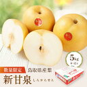 【ふるさと納税】【先行予約】数量限定 鳥取県産梨 新甘泉(しんかんせん)5kg(8〜12玉) | フルーツ 果物 くだもの 食品 人気 おすすめ 送料無料