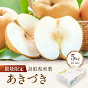 【ふるさと納税】【先行予約】数量限定 鳥取県産梨 あきづき 5kg(10〜12玉) | フルーツ 果物 くだもの 食品 人気 おすすめ 送料無料