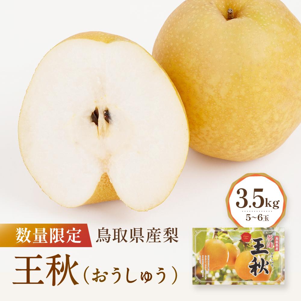 【ふるさと納税】【先行予約】数量限定 鳥取県産梨 王秋(おうしゅう) 3.5kg(5~6玉) | フルーツ 果物 くだもの 食品 人気 おすすめ 送料無料