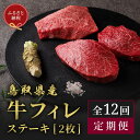 【ふるさと納税】【和牛セレブ(12か月定期便)】鳥取県産牛ヒレステーキ2枚×12か月間 | 肉 お肉 にく 食品 鳥取県産 人気 おすすめ 送料無料 ギフト