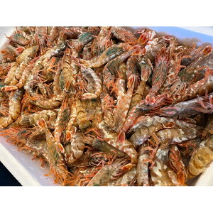 【ふるさと納税】天然 むき身モサエビ お刺身用200g×3P | 蟹 魚介類 水産 食品 人気 おすすめ 送料無料