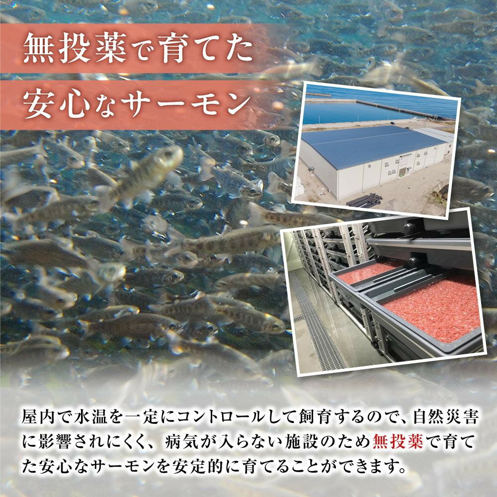 【ふるさと納税】＼選べるフィレor小分け／【数量限定】スモークサーモン とっとり 琴浦 グランサーモン 【 500 g ・ 1 kg 】 | 陸上養殖 スモークサーモン 燻製 サーモン 1kg 500g 養殖 フィレ スライス 小分け 真空 冷凍 鮭 サケ 魚 さかな 海鮮 魚介類 鳥取県 琴浦町
