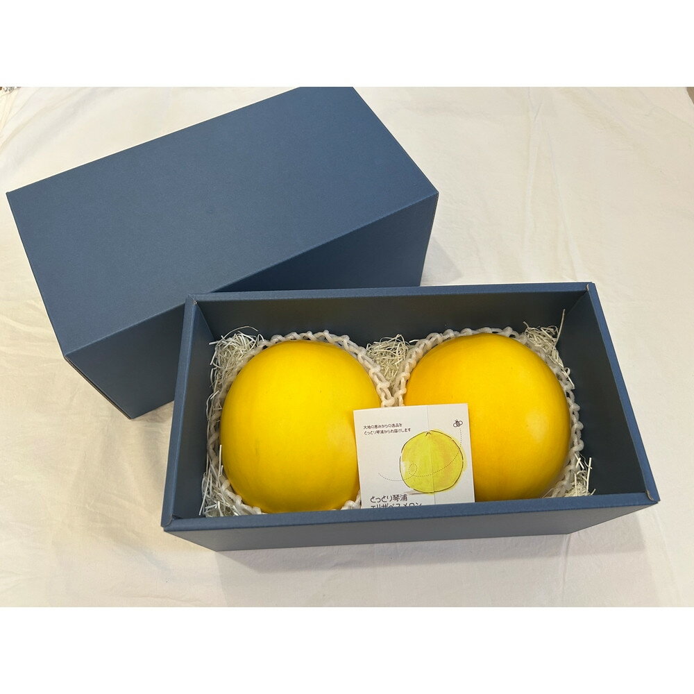 鳥取県琴浦町産 エリザベスメロン 秀品 2玉入り(約2kg)