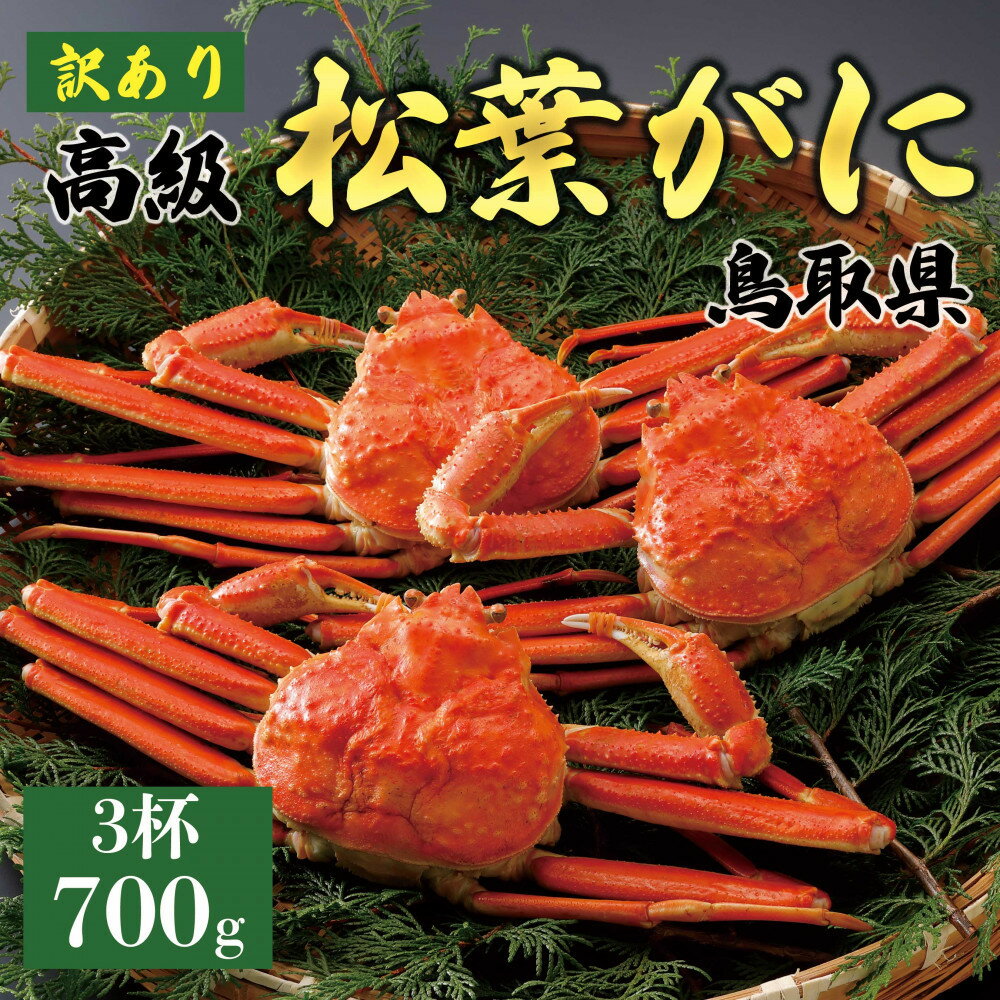 ڤդ뤵Ǽǡۡ2025ǯ11ȯ դˡ觡ˡ700gĶΥ 3