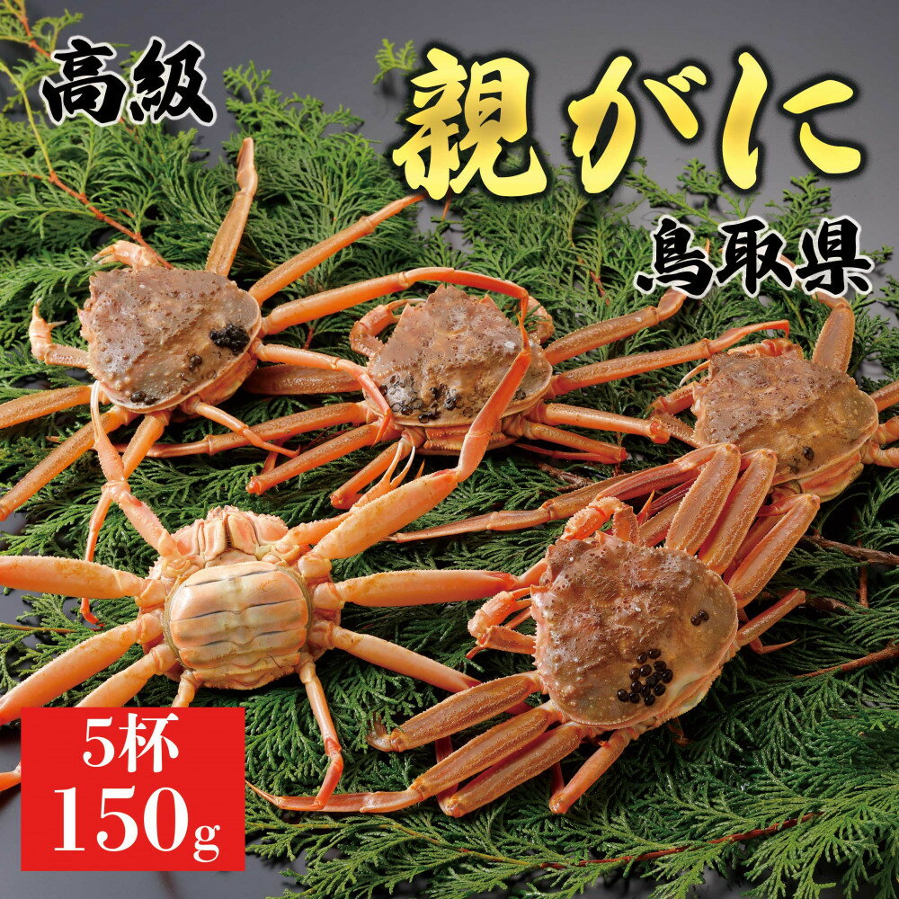 【ふるさと納税】【2025年11月発送】鳥取県産 特撰 親がに 姿【セコガニ】(なま)【訳あり】150g 5杯