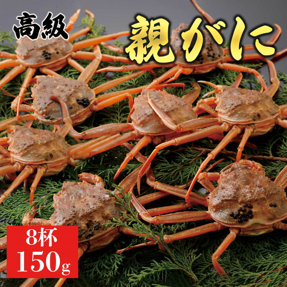 【ふるさと納税】【2025年11月発送】鳥取県産 特撰 親がに 姿【セコガニ】(なま)【訳あり】150g 8杯