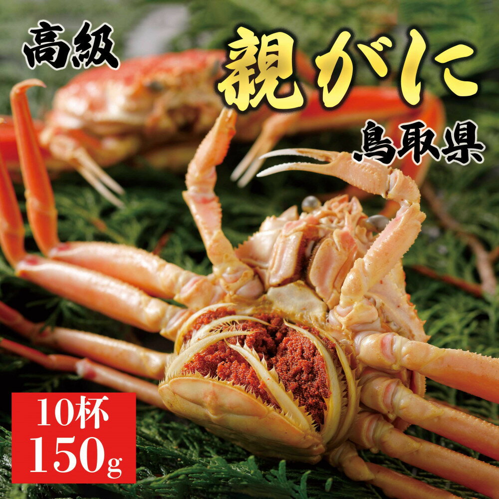 【ふるさと納税】【2025年11月発送】鳥取県産 特撰 親がに 姿【セコガニ】(茹)【訳あり】150g 10杯