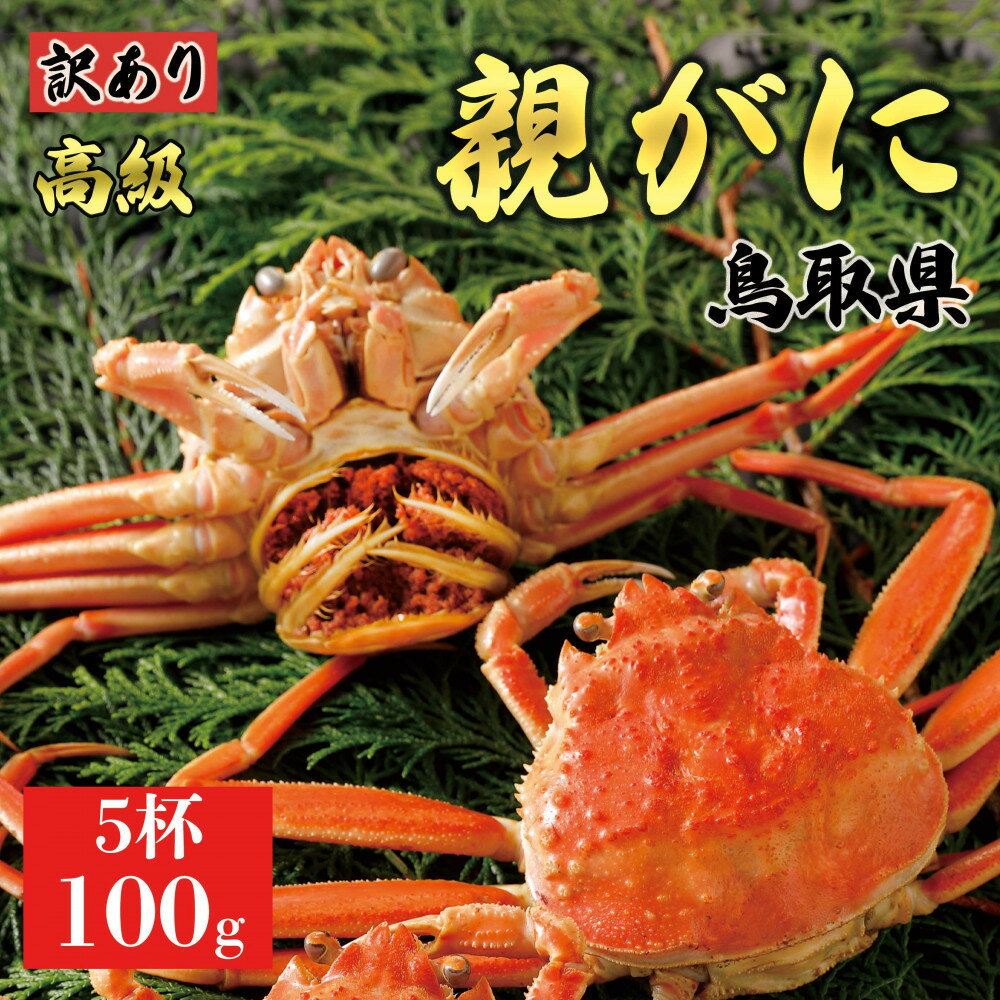 【ふるさと納税】【2025年11月発送】鳥取県産 特撰 親がに 姿【セコガニ】(茹)【訳あり】100g 5杯