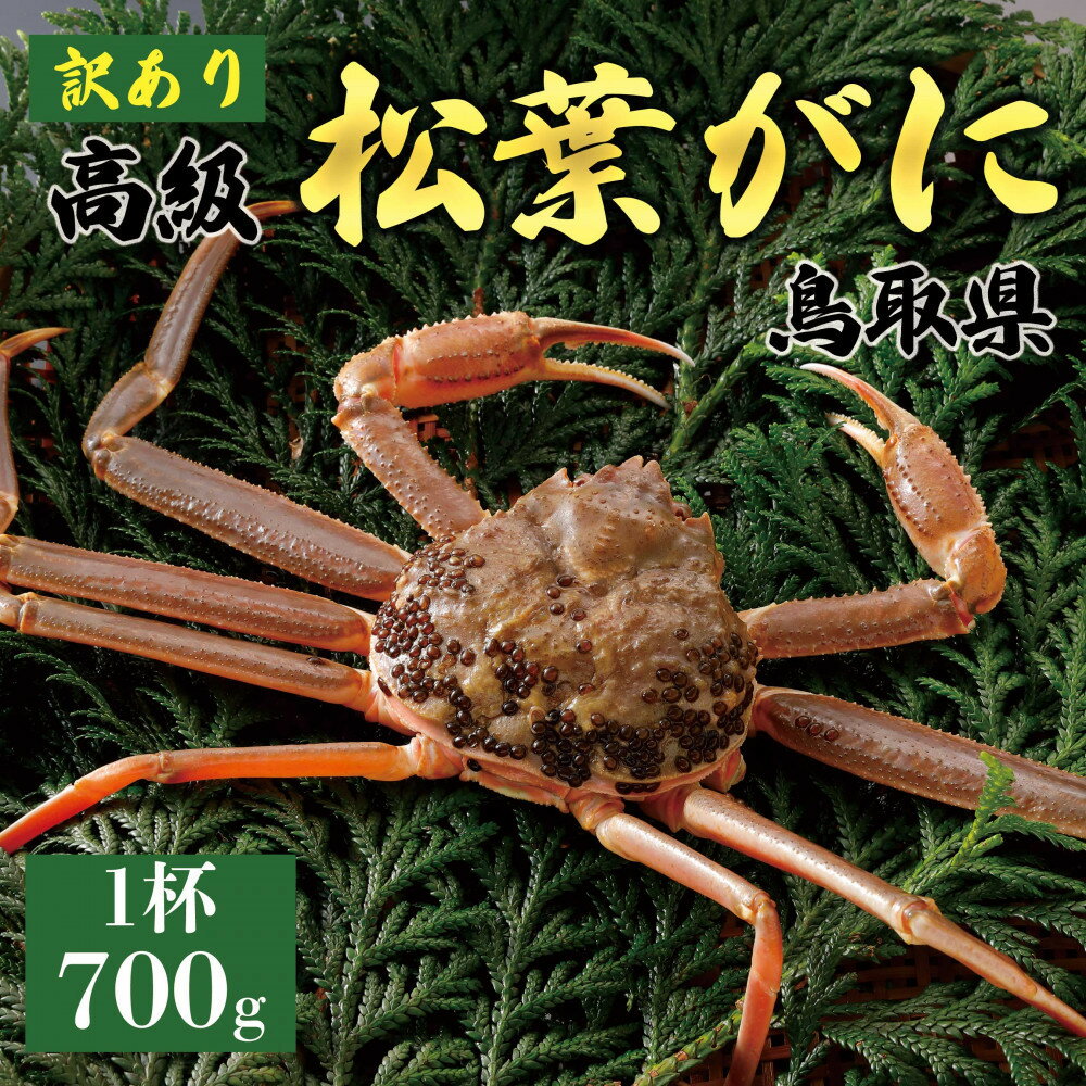 ڤդ뤵Ǽǡۡ2025ǯ11ȯ դˡʤʤޡˡ700gĶΥ 1