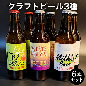 【ふるさと納税】クラフトビール3種6本セット※離島への配送不可