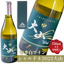 13位! 口コミ数「0件」評価「0」中辛白ワイン「シャルドネ2022大山」【化粧箱入り】※着日指定不可※離島への配送不可