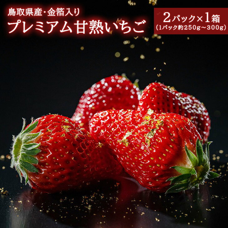 3位! 口コミ数「0件」評価「0」プレミアム甘熟いちご　※2024年12月下旬頃～2025年3月下旬頃に順次発送予定