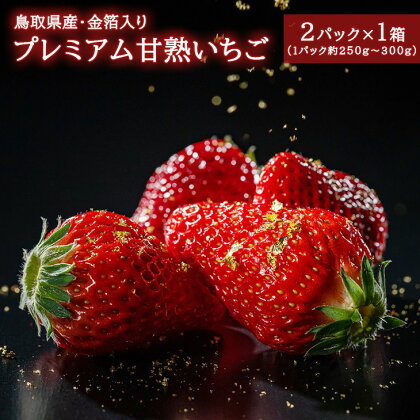 プレミアム甘熟いちご　※2024年12月下旬頃～2025年3月下旬頃に順次発送予定