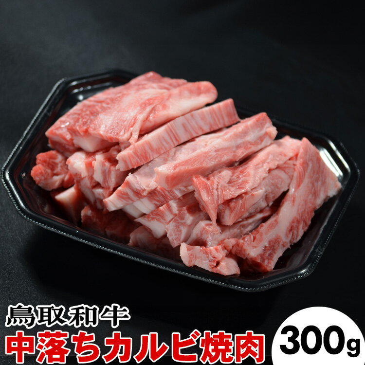 鳥取和牛 中落ちカルビ焼肉（300g）※離島への配送不可