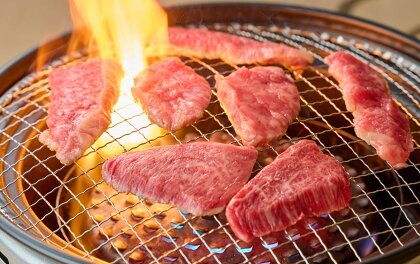 【お中元・お歳暮　のし付】鳥取和牛　焼肉用カルビ（化粧箱入り）合計500g