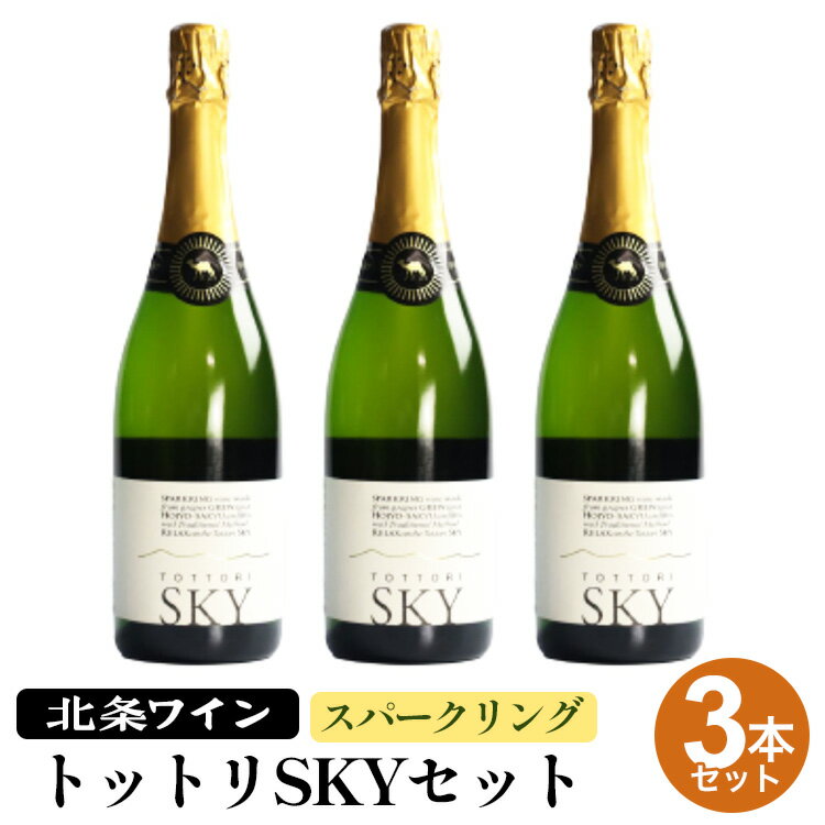 【ふるさと納税】トットリSKY3本セット※着日指定不可