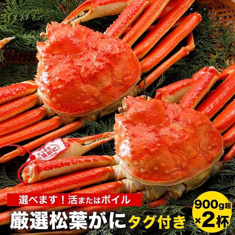 8位! 口コミ数「0件」評価「0」【選べます！活またはボイル】《タグ付き》厳選松葉がに 特大2杯（900g超×2杯）※着日指定不可※離島への配送不可※2024年11月上旬～2･･･ 