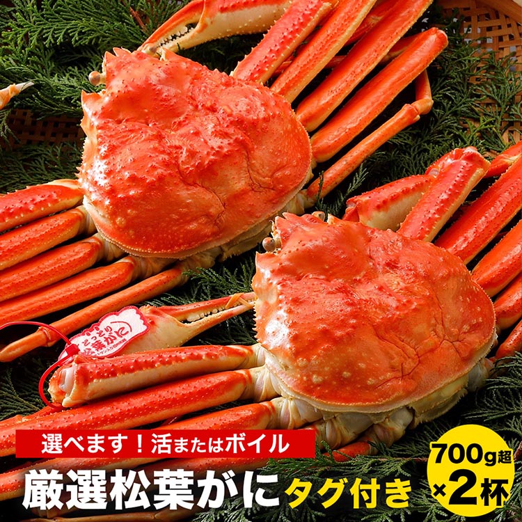 7位! 口コミ数「0件」評価「0」【選べます！活またはボイル】《タグ付き》厳選松葉がに 特大2杯（700g超×2杯）※着日指定不可※離島への配送不可※2024年11月上旬～2･･･ 