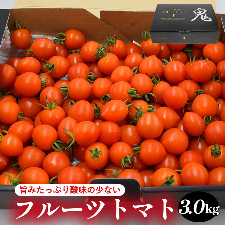 2位! 口コミ数「0件」評価「0」旨みたっぷり酸味の少ないフルーツトマト 3.0kg※着日指定不可※離島への配送不可※2024年6月上旬～10月下旬頃に順次発送予定