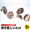 12位! 口コミ数「0件」評価「0」とっとり北栄町産 原木乾しいたけ3袋セット※着日指定不可※2024年4月上旬～9月下旬頃に順次発送予定