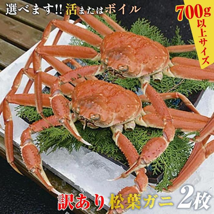 【ふるさと納税】【選べます!活またはボイル】訳あり 松葉ガニ 2枚◇※2025年11月上旬〜2026年3月下旬頃に順次発送予定※着日指定不可 | 蟹 かに 松葉...