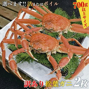 【ふるさと納税】<10/1~寄附額改定>【選べます!活またはボイル】訳あり 松葉ガニ 2枚◇※2025年11月上旬~2026年3月下旬頃に順次発送予定※着日指定不可 | 蟹 かに 松葉ガニ 松葉蟹 訳あり 家庭用 鳥取県産 北栄町 おすすめ 人気