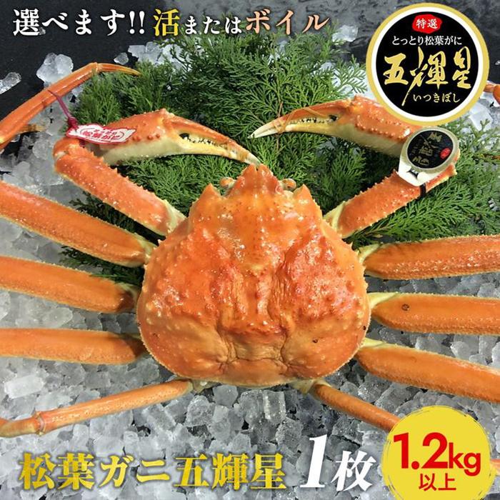 【ふるさと納税】【選べます!活またはボイル】鳥取ブランド 松葉ガニ『五輝星』※2025年11月上旬〜2026年3月下旬頃に順次発送予定※着日指定不可 | 蟹 か...