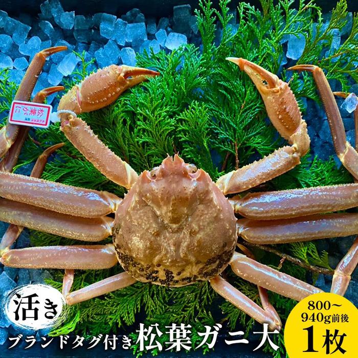 【ふるさと納税】107.【活き】ブランドタグ付き松葉ガニ 大 800〜940g前後 1枚 ※2025年11月上旬〜2026年3月上旬頃に順次発送予定 | 松葉ガ...