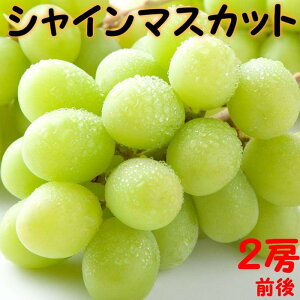 【ふるさと納税】270.【先行予約】シャインマスカット(種無し) 1kg前後◇ ※2025年8月下旬~9月下旬頃に順次発送予定