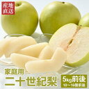 【ふるさと納税】【先行予約】【家庭用】二十世紀梨 5kg前後 (10個〜16個前後) 鳥取県産 ※着日指定不可 ※2026年8月下旬〜9月中旬頃に順次発送予定 ...