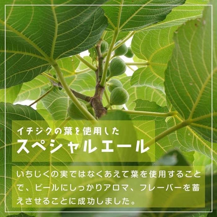 【ふるさと納税】620.クラフトビール3種3本セット ※離島への配送不可 | クラフトビール ビール 酒 お酒 フィグリーブスビール イチジク イチジク葉 パタタドルチェビール さつまいも いも ミルクビール 飲料 ギフト セット 鳥取県 北栄町 おすすめ 人気