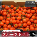 【ふるさと納税】802.旨みたっぷり酸味の少ないフルーツトマト 3.0kg※着日指定不可※離島への配送不可※(4)