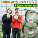 【ふるさと納税】808.【赤肉系メロン】プリモレッド×2玉(1玉2kg前後×2玉)※離島への配送不可