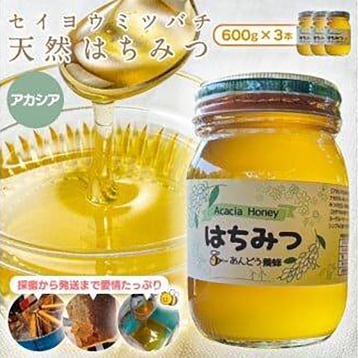 【ふるさと納税】944.天然はちみつ アカシア 600g×1本 蜂蜜 ハチミツ ハチ蜜 鳥取県産◇日本全国配送可能