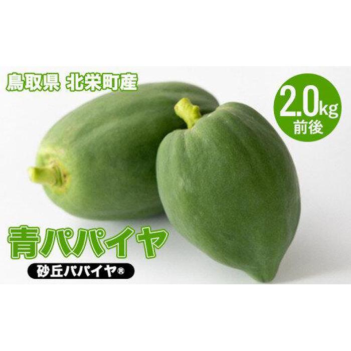 【ふるさと納税】781.青パパイヤ(砂丘パパイヤ)2.0kg前後※2025年9月中旬~11月下旬頃に順次発送予定※離島への配送不可