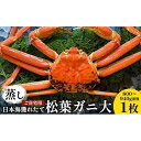 【ふるさと納税】116.【先行予約】【蒸し】訳あり ご自宅用 日本海獲れたて松葉ガニ 大 800〜940g前後 1枚 ※2025年11月上旬〜2026年3月上旬...