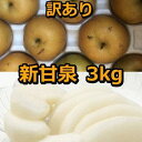 【ふるさと納税】954.【先行予約】【訳あり】新甘泉 3kg(梨)※8月下旬頃〜9月中旬頃に順次発送 | 先行予約 梨 なし 果物 フルーツ くだもの 鳥取県 ...