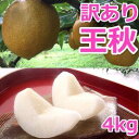 【ふるさと納税】926.【訳あり】王秋梨 4kg(4~13玉前後)≪果物 フルーツ くだもの≫ ※2025年10月下旬~12月上旬頃に順次発送予定