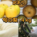【ふるさと納税】928.【訳あり】鳥取県産旬の梨セット 4kg ≪果物 フルーツ くだもの≫ ※2025年8月下旬頃~12月下旬頃に順次発送予定